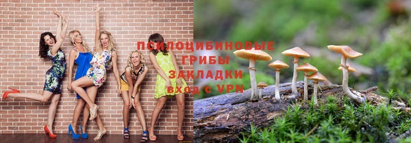 бошки Абдулино