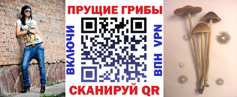 продажа наркотиков  Западная Двина  Галлюциногенные грибы прущие грибы 
