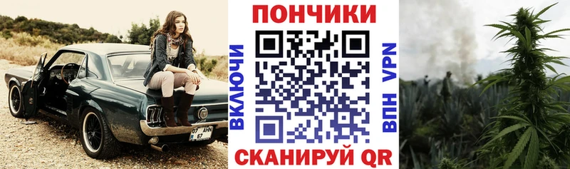 Канабис MAZAR  Западная Двина 
